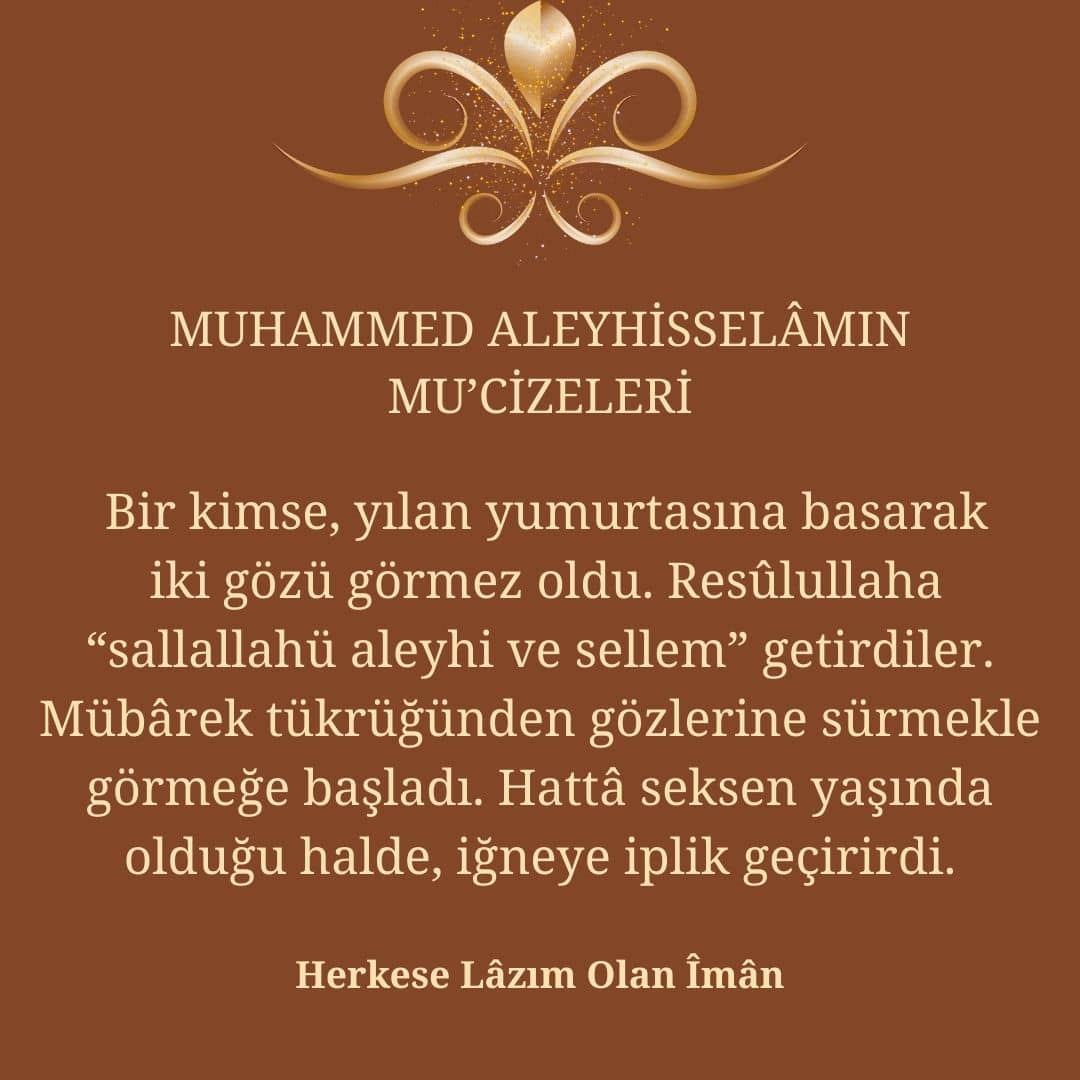 Mucizeleri (12)